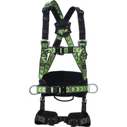 Harnais 2 POINTS + CEINTURE ROTATIVE + BOUCLES AUTOMATIQUES Voiron