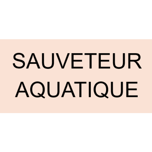 Marquage Dos Noir "SAUVETEUR AQUATIQUE"