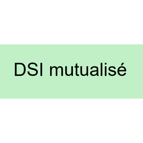 Marquage Dos Noir "DSI mutualis&eacute;"