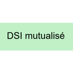 Marquage Dos Noir "DSI mutualis&eacute;"