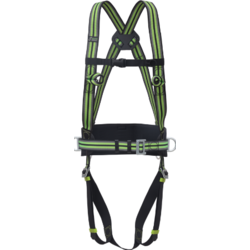 Harnais standard 2 points plus ceinture