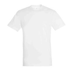 T-SHIRT MC TITAN Voiron T-SHIRT MC TITAN Voiron