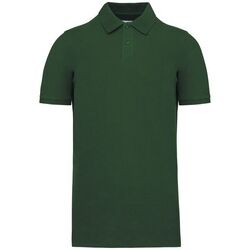 Polo Bio 180 K2025