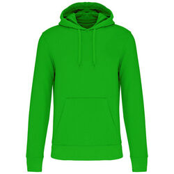 Sweat-shirt &agrave; capuche K4027