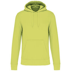 Sweat-shirt &agrave; capuche K4027