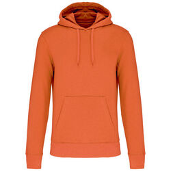 Sweat-shirt à capuche K4027 Voiron Sweat-shirt à capuche K4027 Voiron