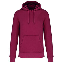 Sweat-shirt &agrave; capuche K4027